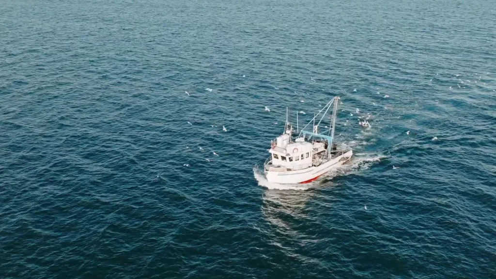 Bateau de pêche naviguant en mer entouré d’oiseaux marins